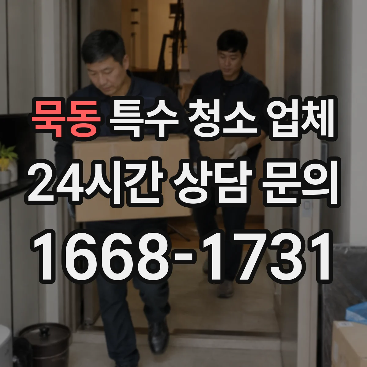 묵동 특수 청소 업체