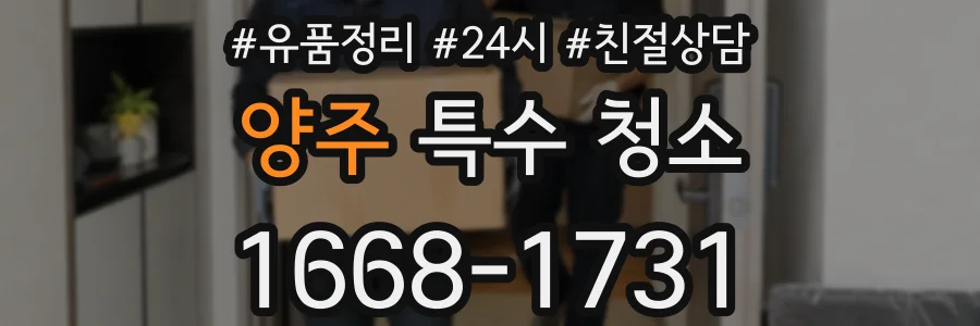 양주 특수 청소