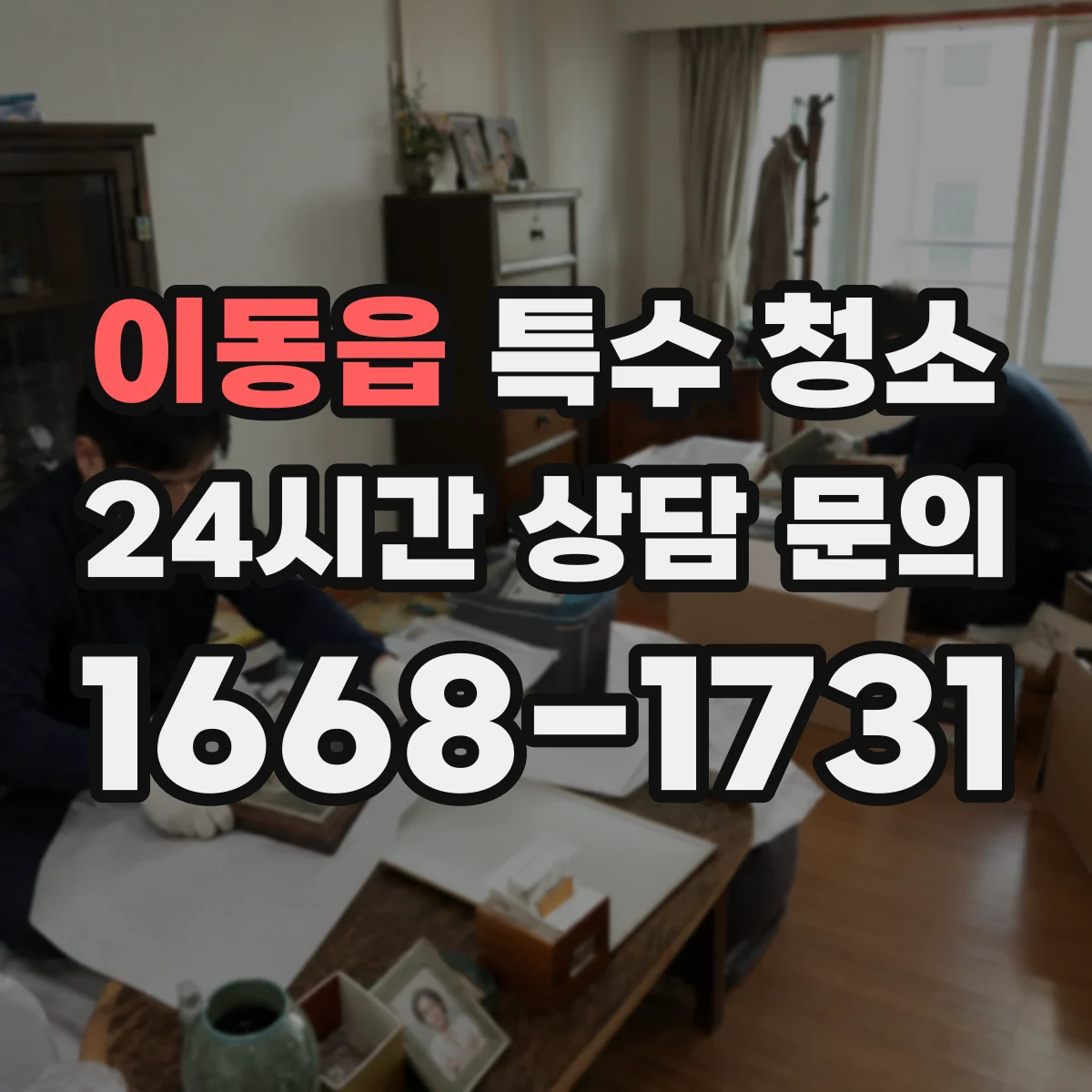 이동읍 특수 청소