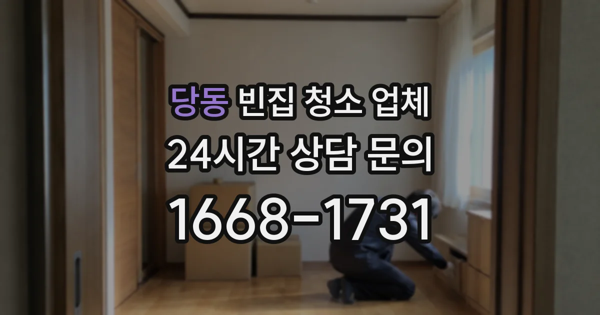 당동 빈집 청소 업체