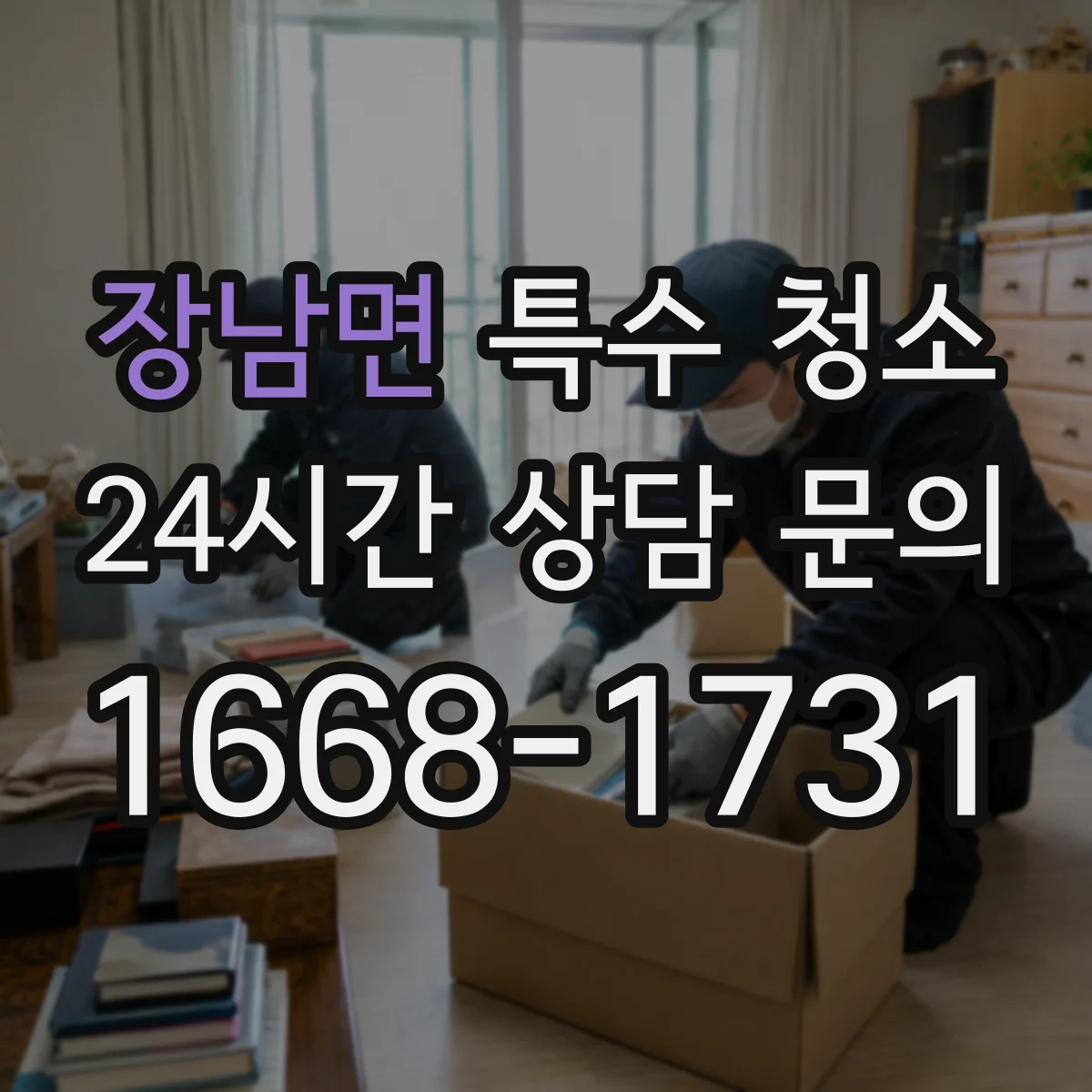 장남면 특수 청소
