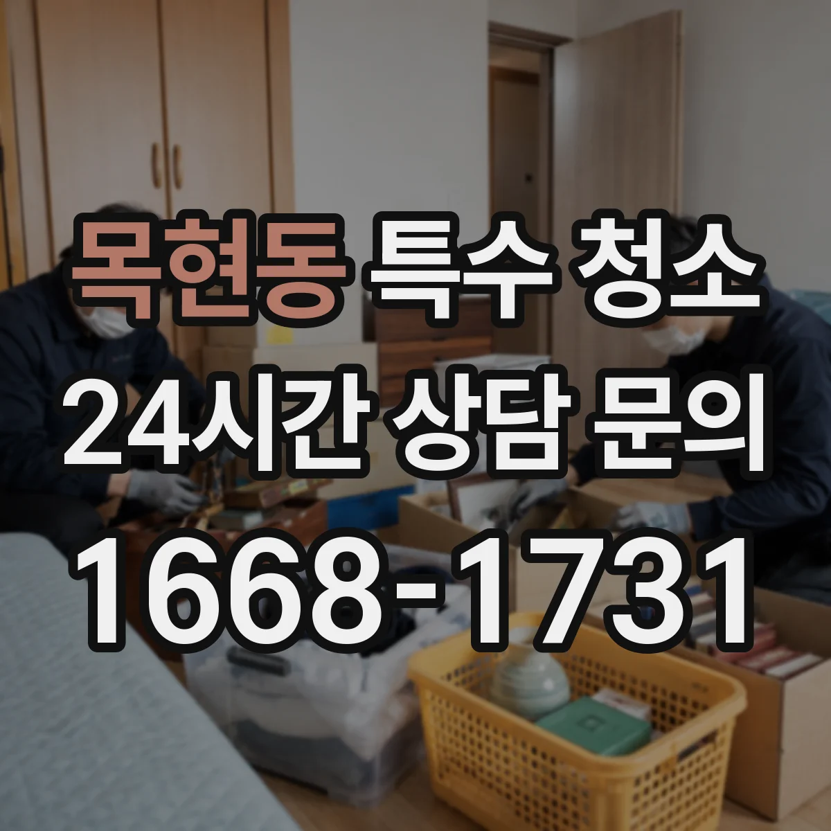 목현동 특수 청소