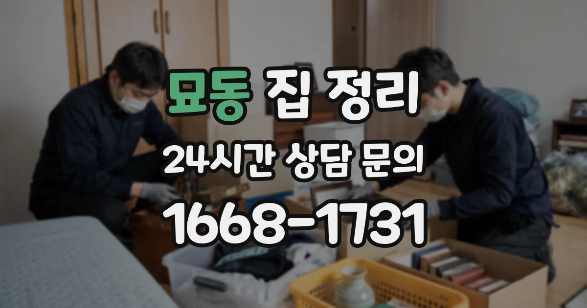 묘동 집 정리