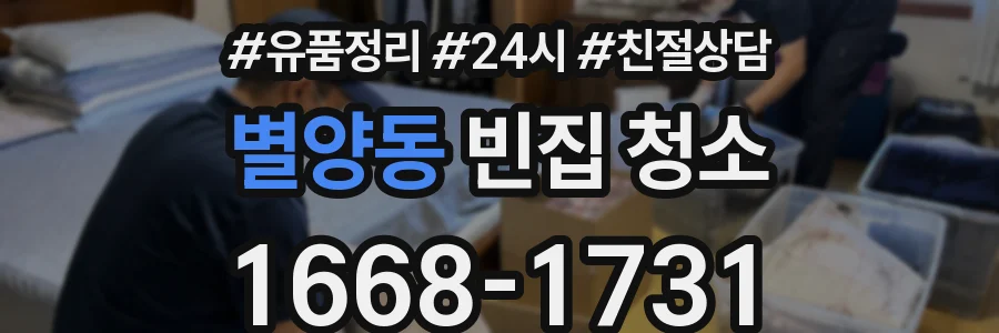 별양동 빈집 청소