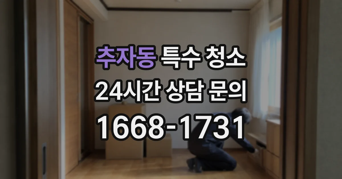 추자동 특수 청소