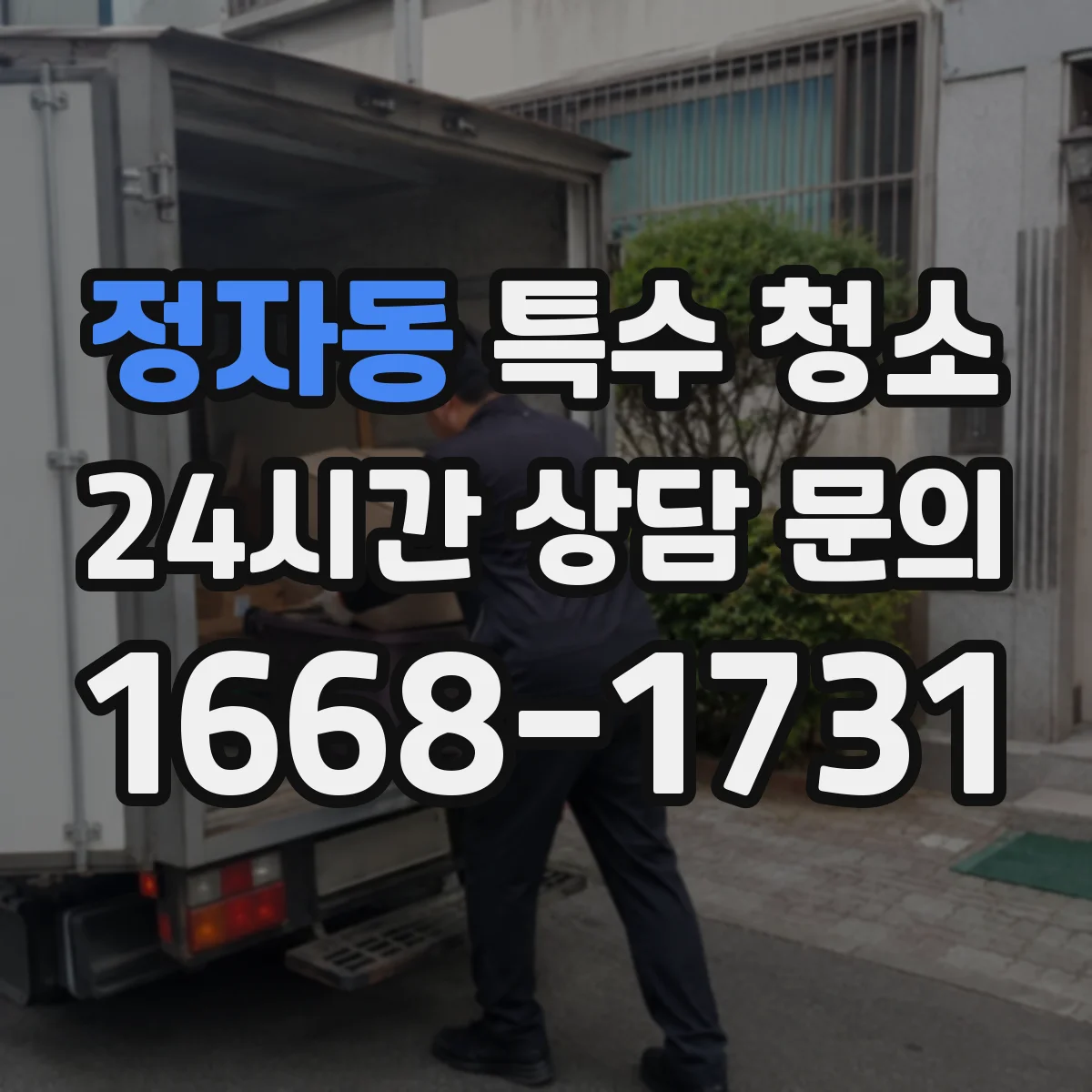 정자동 특수 청소