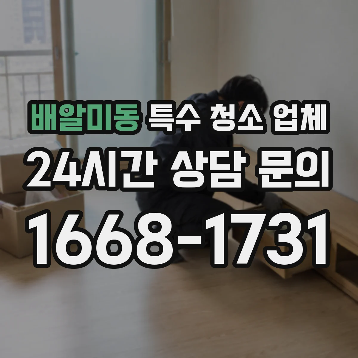 배알미동 특수 청소 업체