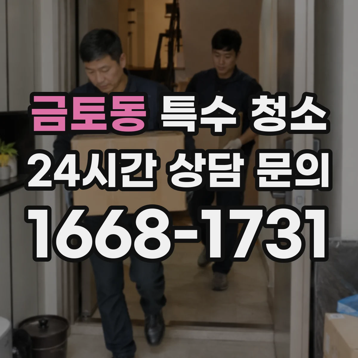 금토동 특수 청소
