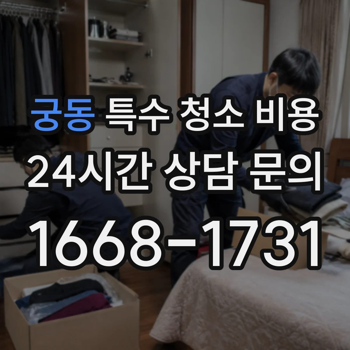 궁동 특수 청소 비용