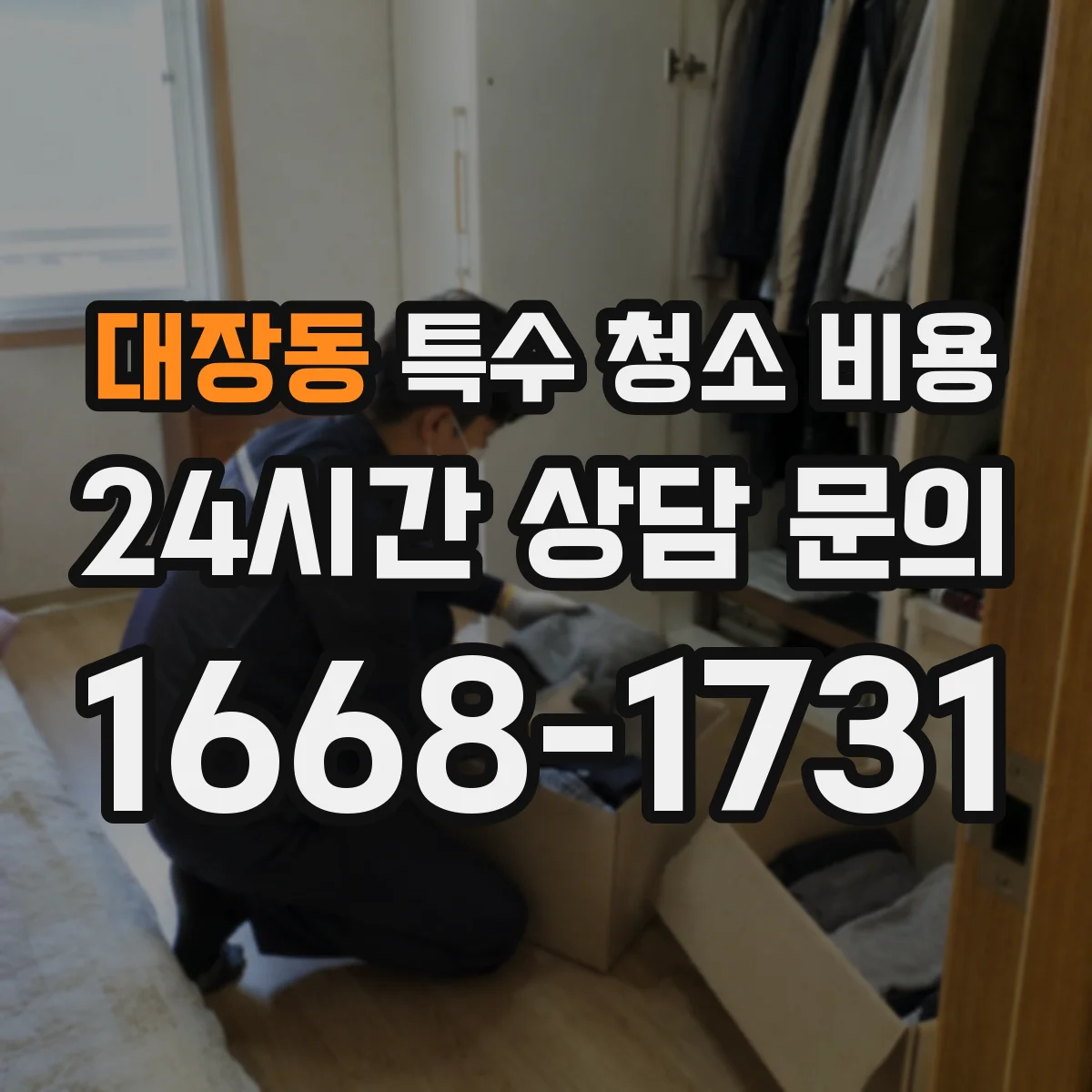 대장동 특수 청소 비용