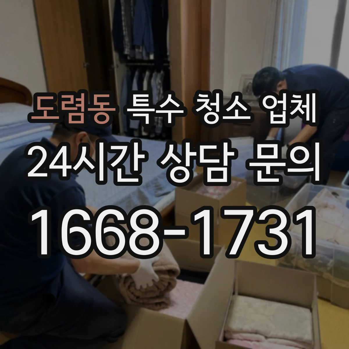 도렴동 특수 청소 업체
