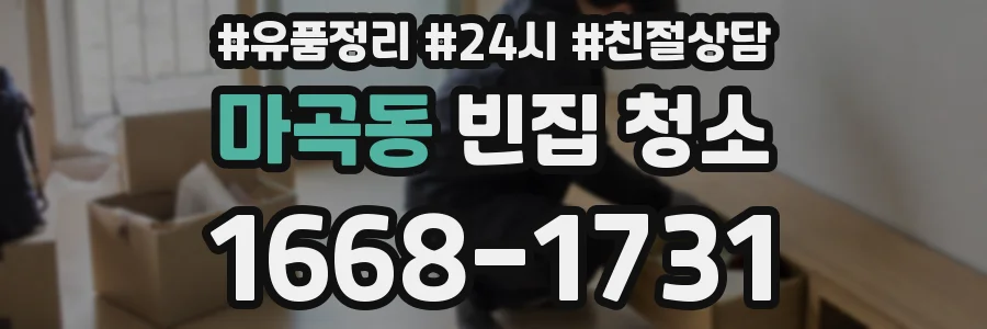 마곡동 빈집 청소