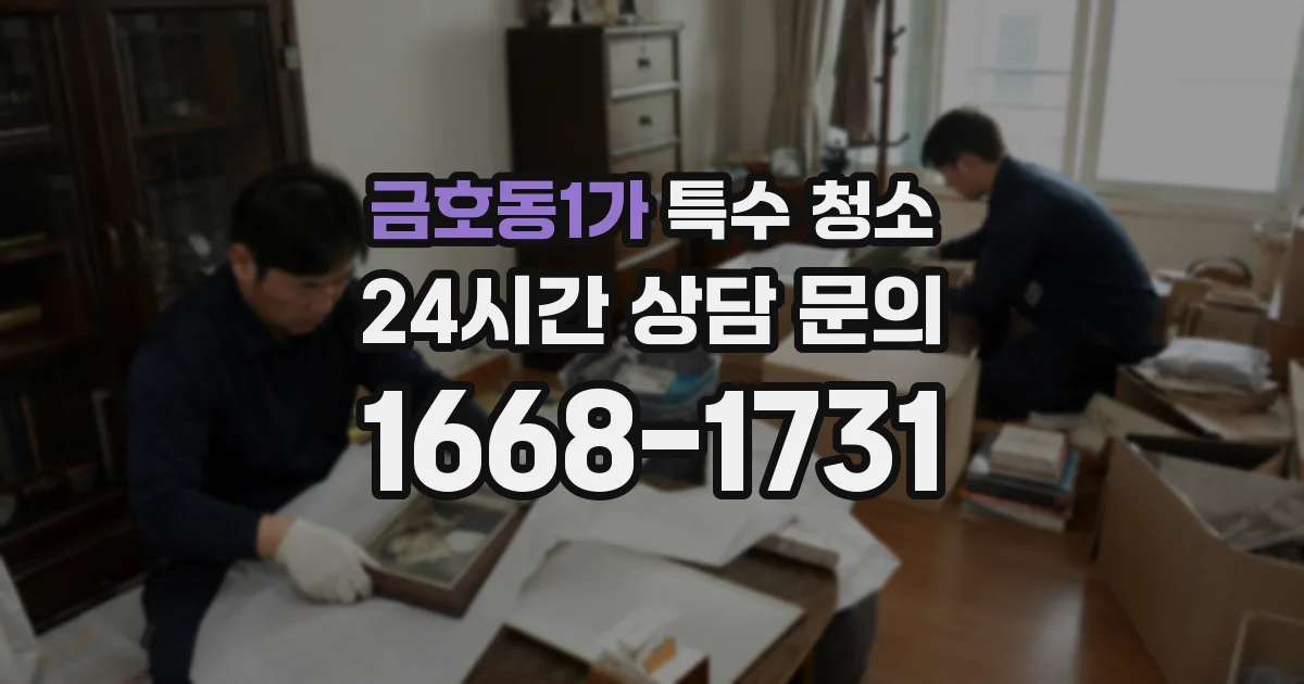 금호동1가 특수 청소
