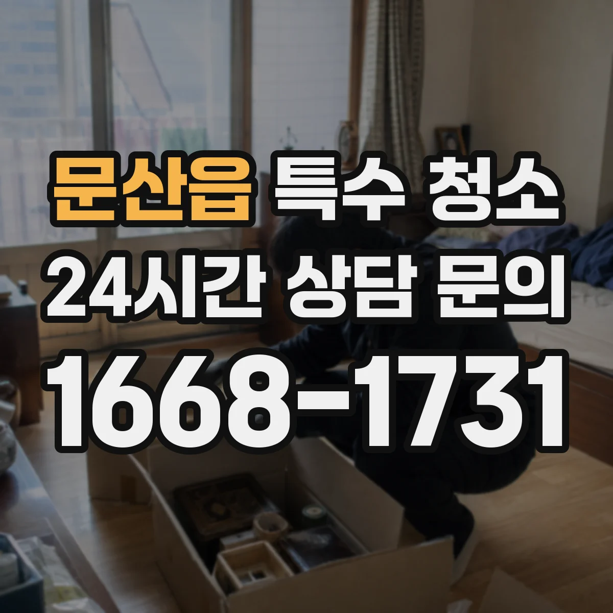 문산읍 특수 청소