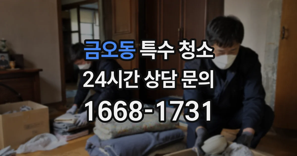 금오동 특수 청소