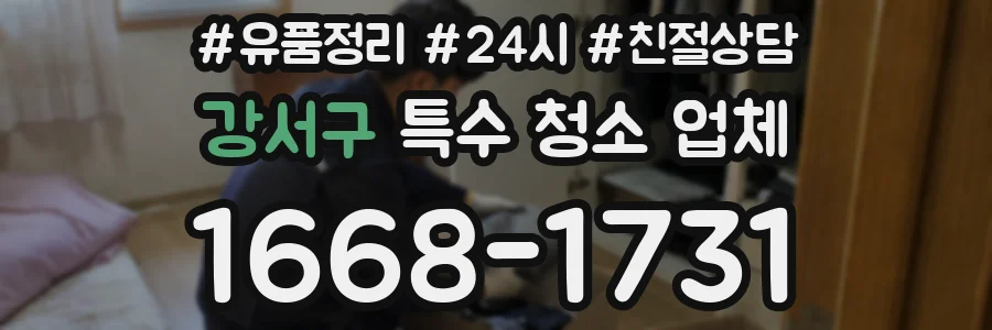 강서구 특수 청소 업체