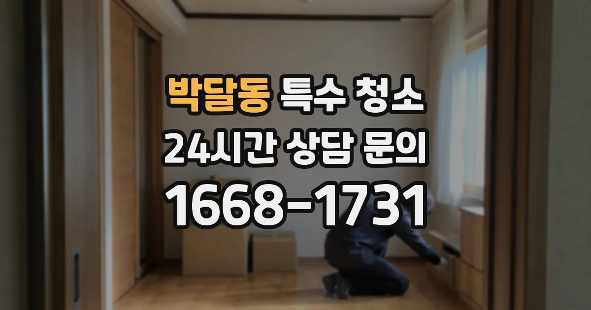 박달동 특수 청소