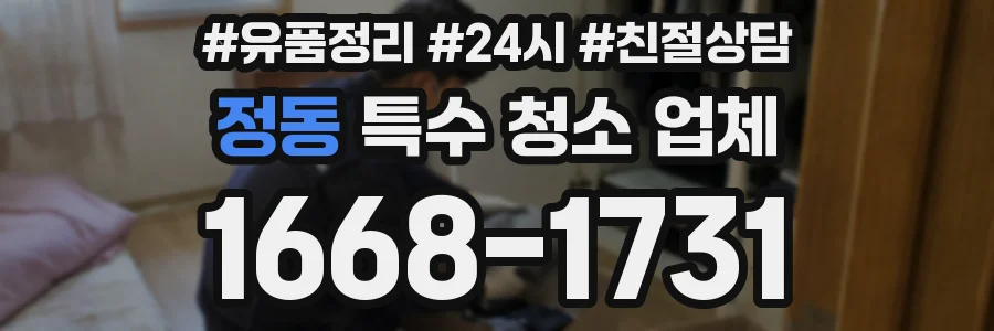 정동 특수 청소 업체