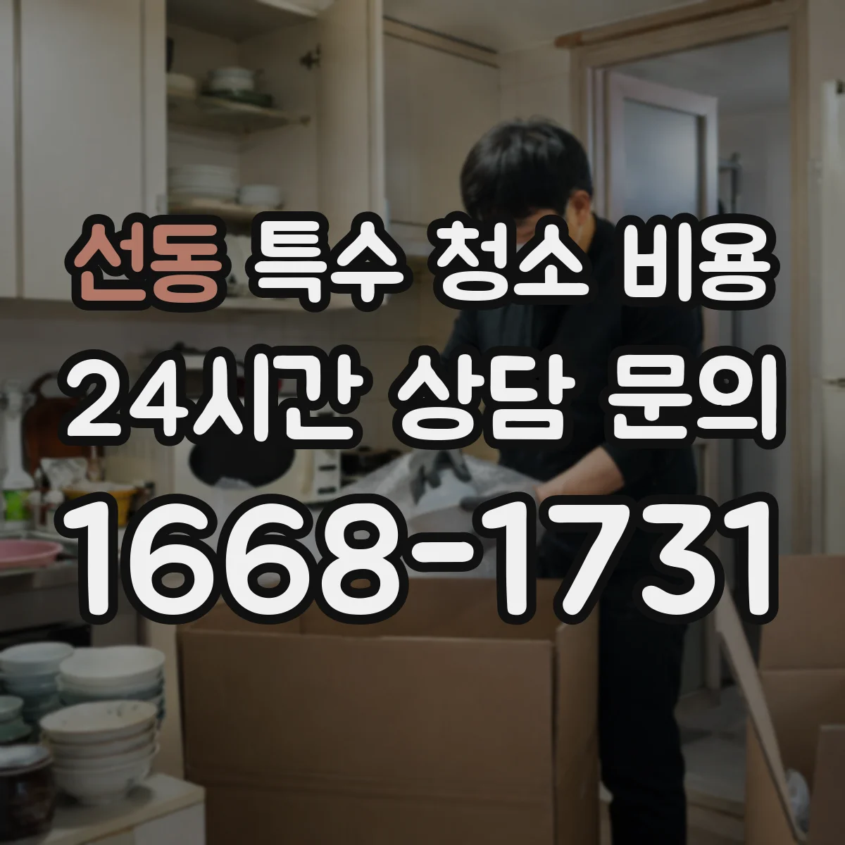 선동 특수 청소 비용