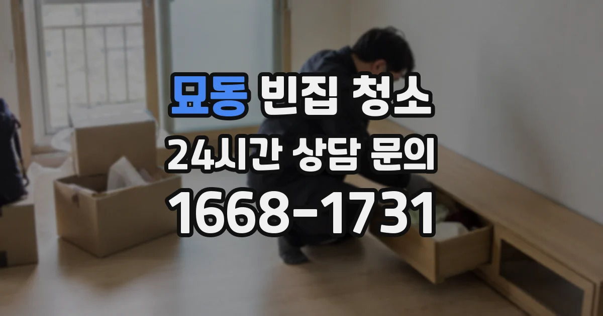 묘동 빈집 청소