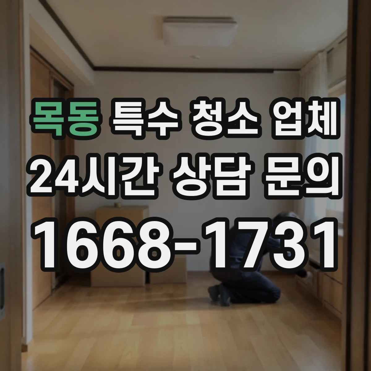 목동 특수 청소 업체