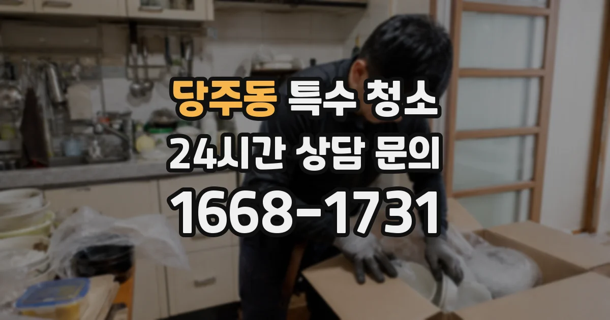 당주동 특수 청소
