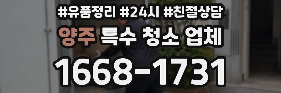 양주 특수 청소 업체