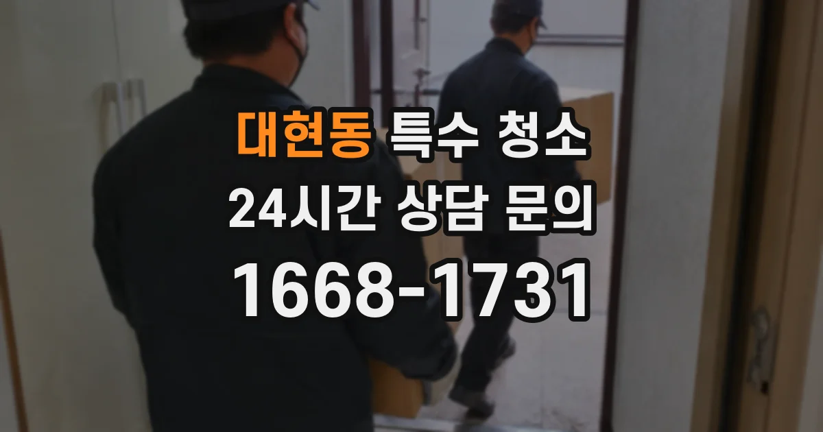 대현동 특수 청소
