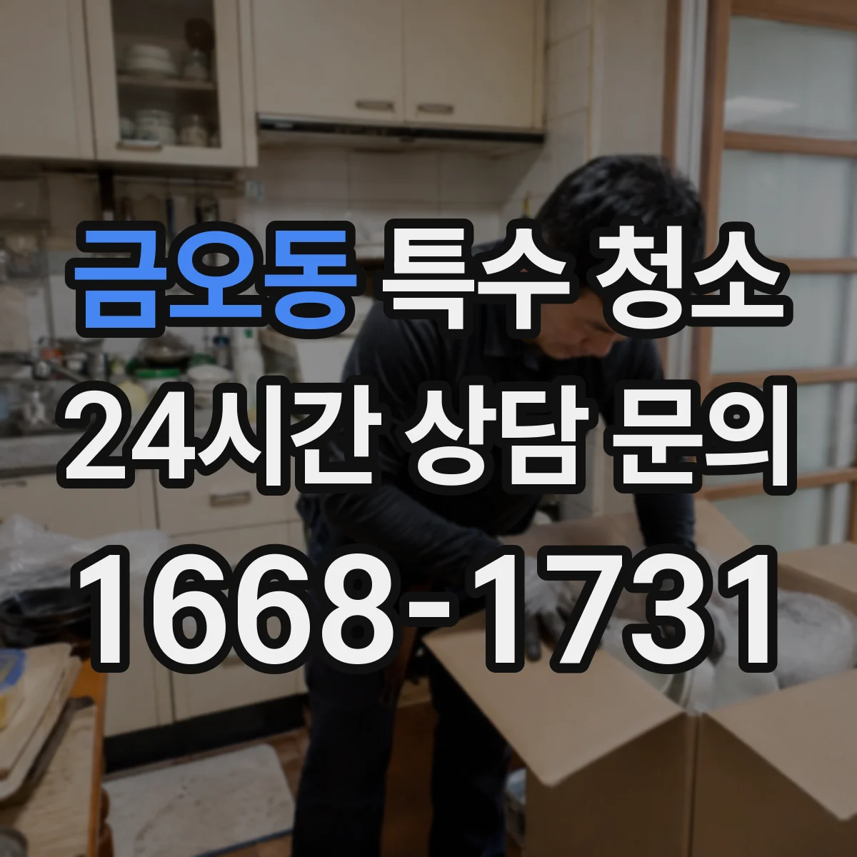 금오동 특수 청소
