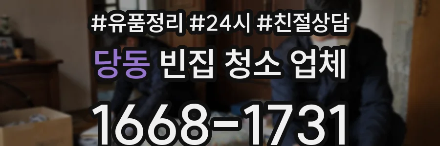 당동 빈집 청소 업체