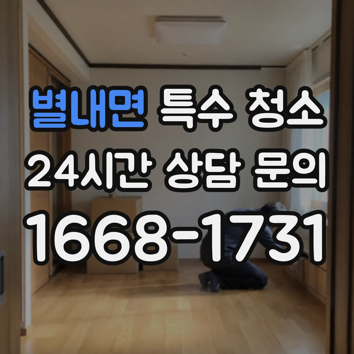 별내면 특수 청소