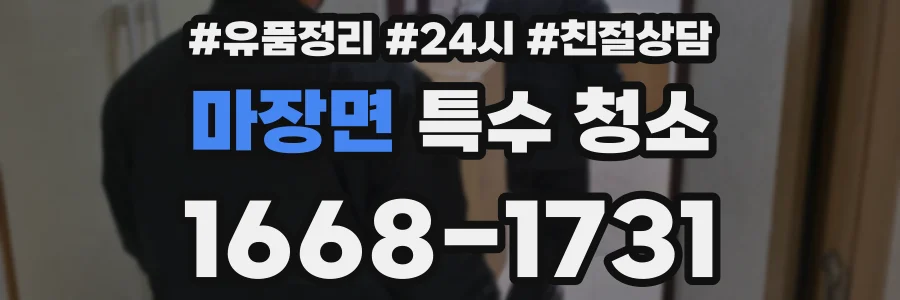 마장면 특수 청소