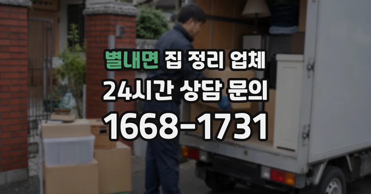별내면 집 정리 업체