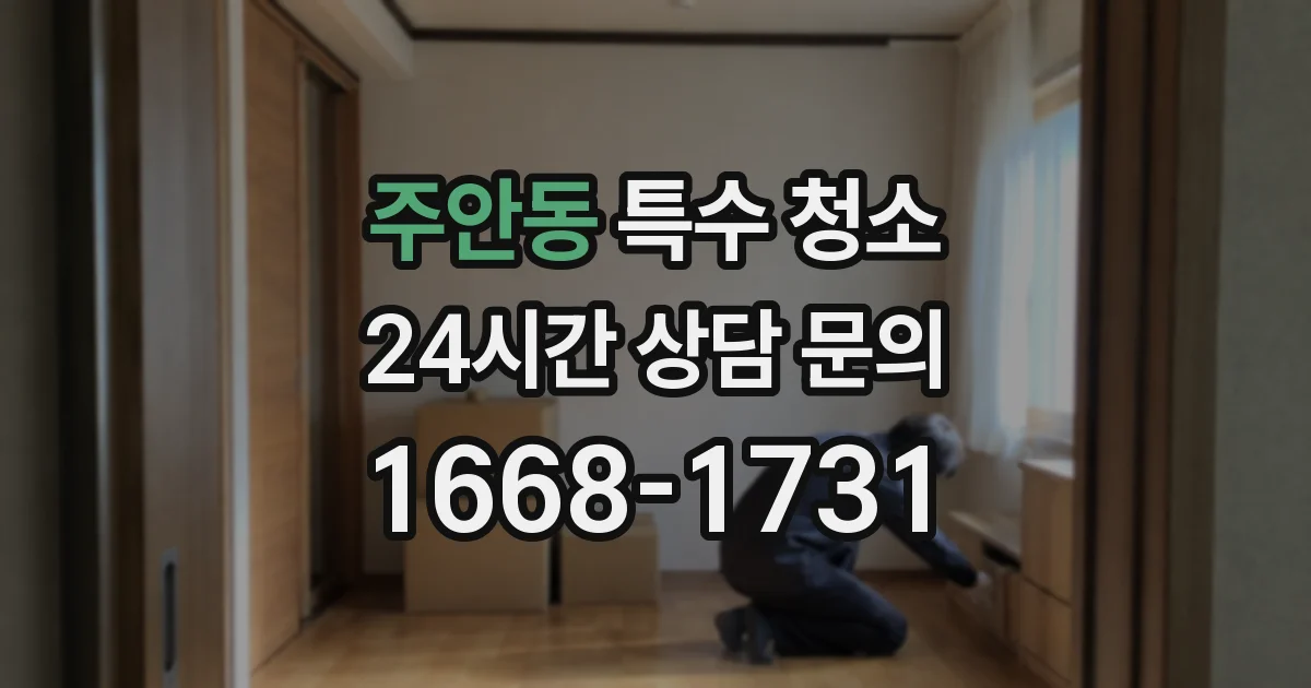 주안동 특수 청소