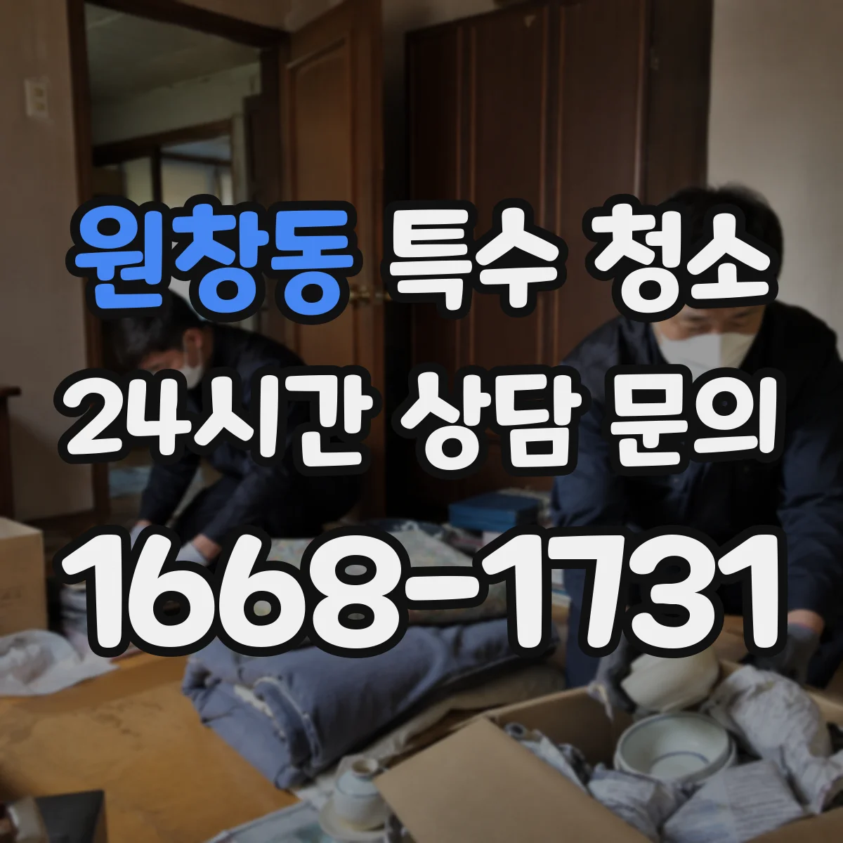 원창동 특수 청소