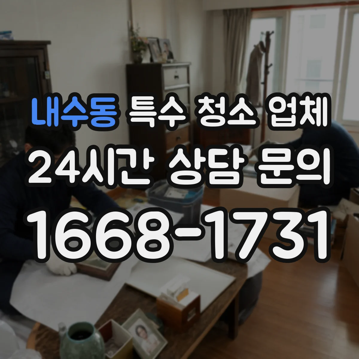 내수동 특수 청소 업체