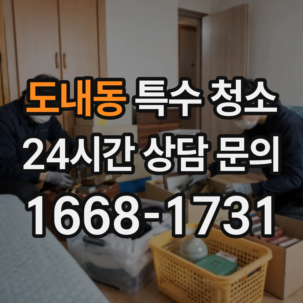 도내동 특수 청소