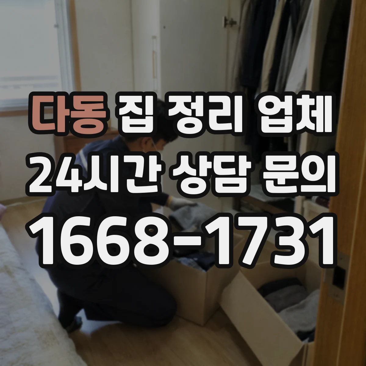 다동 집 정리 업체