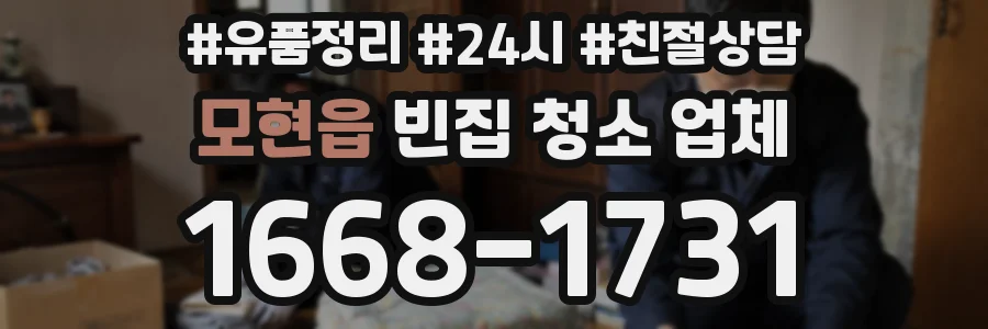 모현읍 빈집 청소 업체