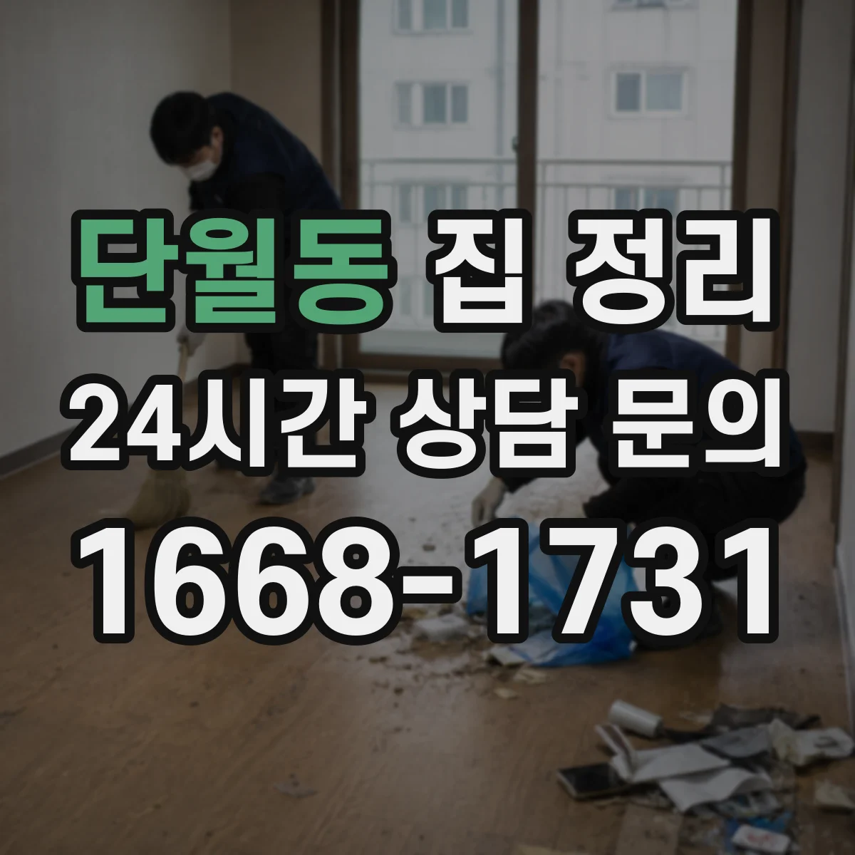 단월동 집 정리