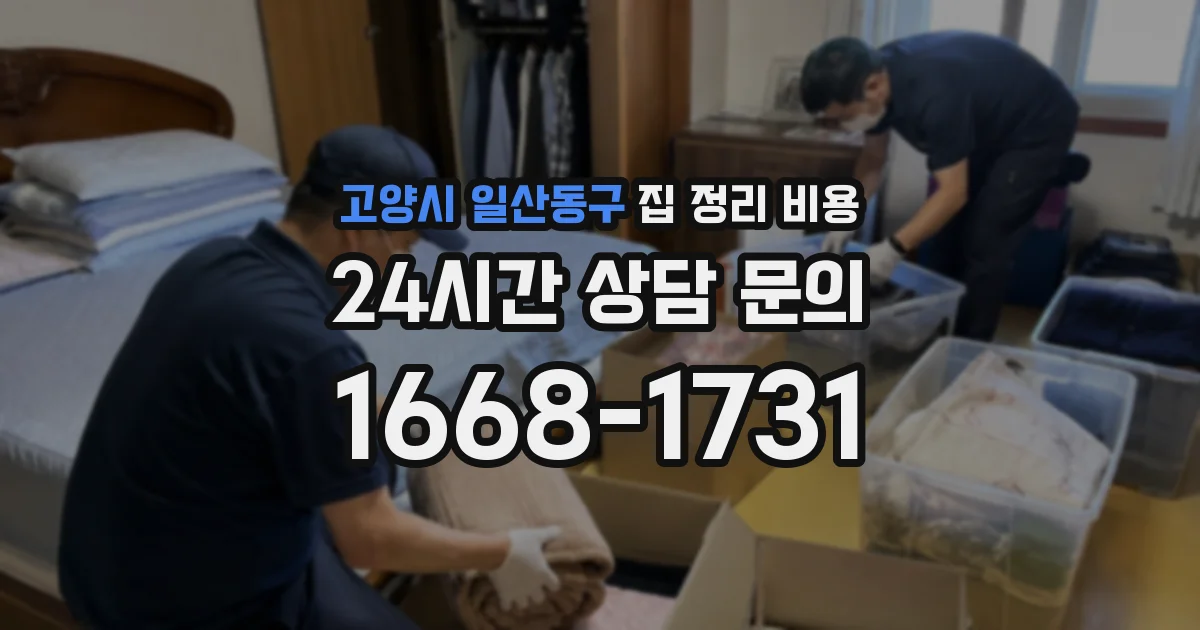 고양시 일산동구 집 정리 비용