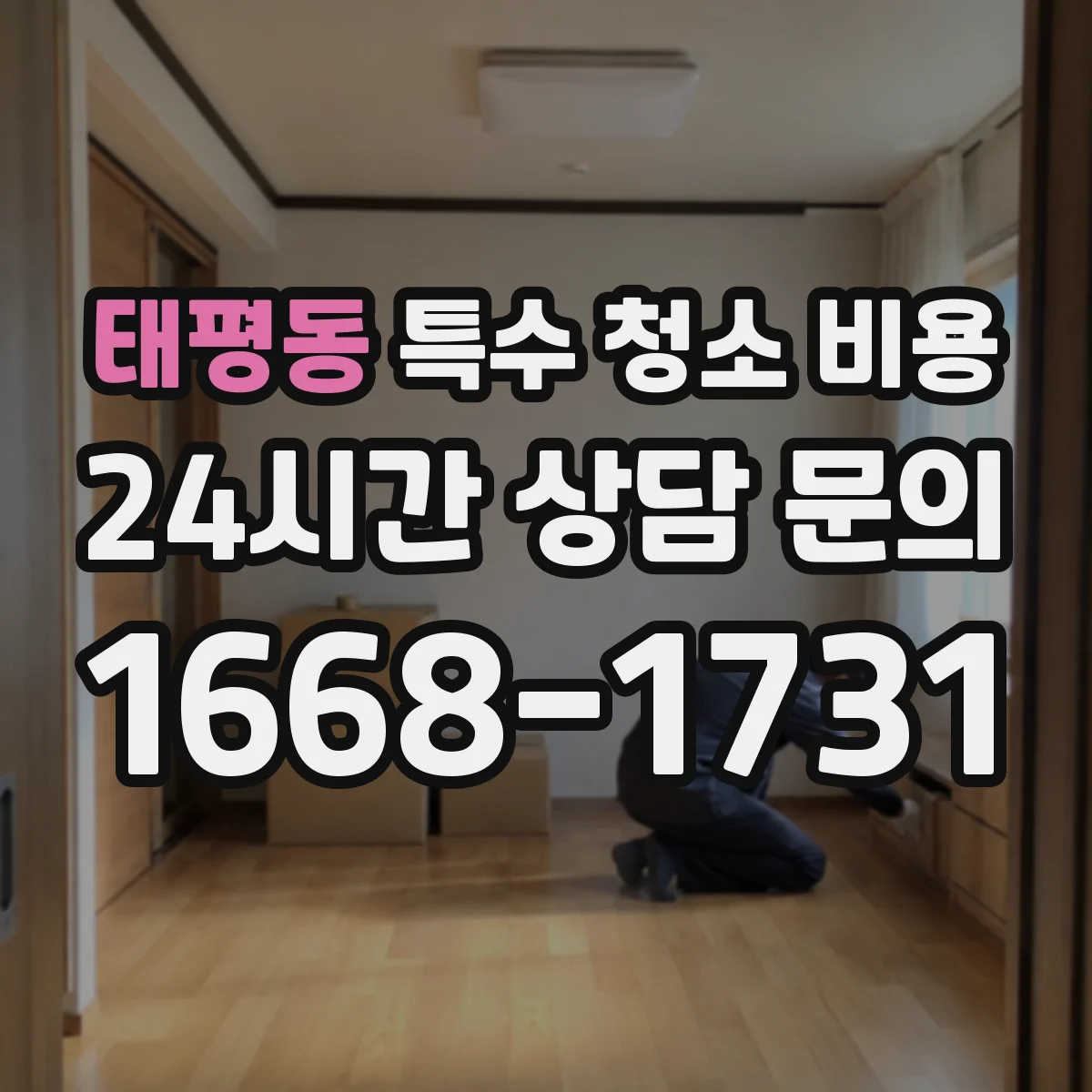 태평동 특수 청소 비용