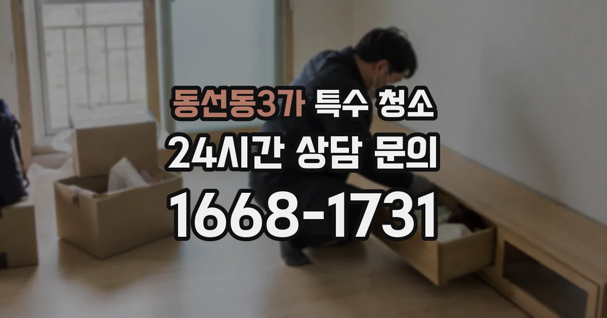 동선동3가 특수 청소