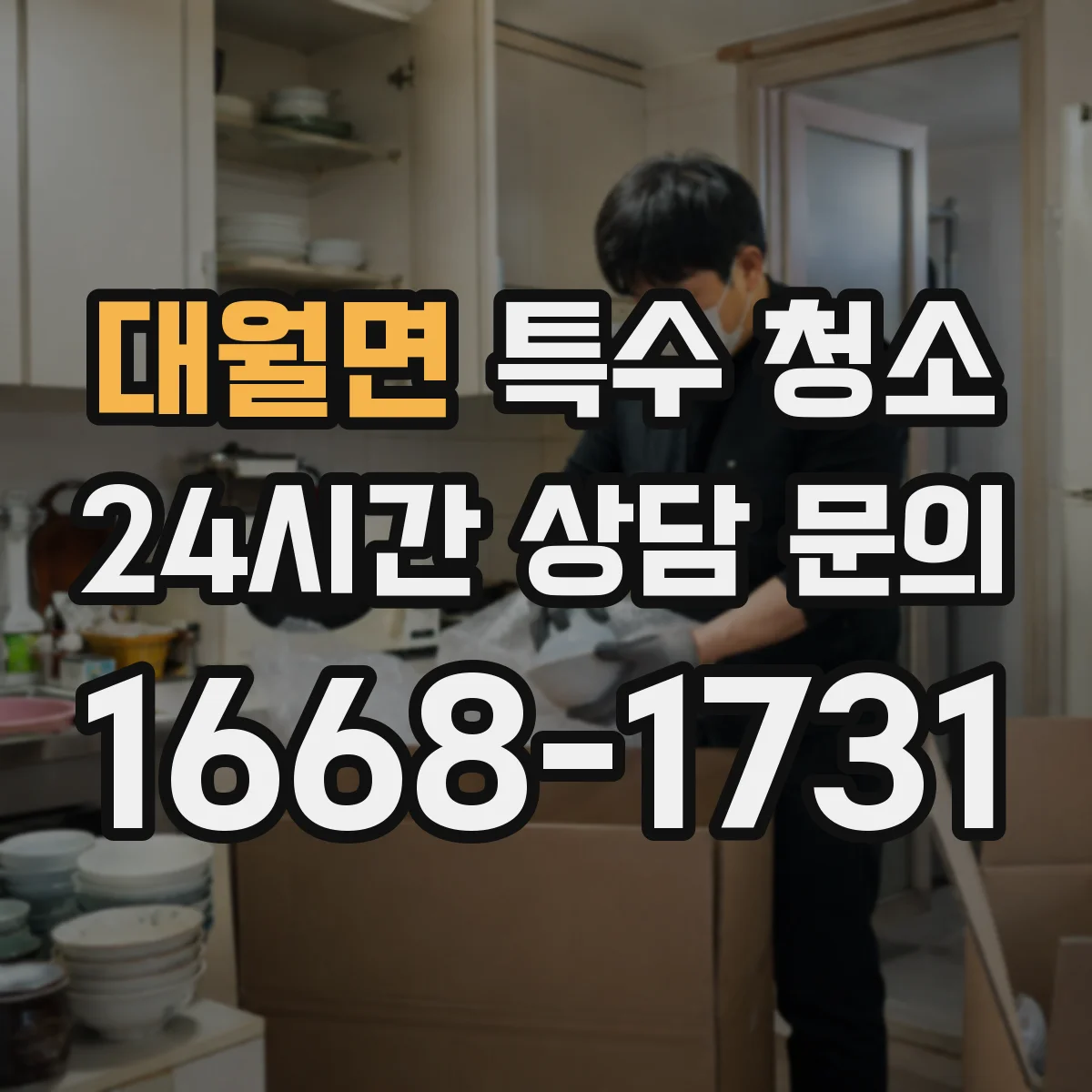 대월면 특수 청소