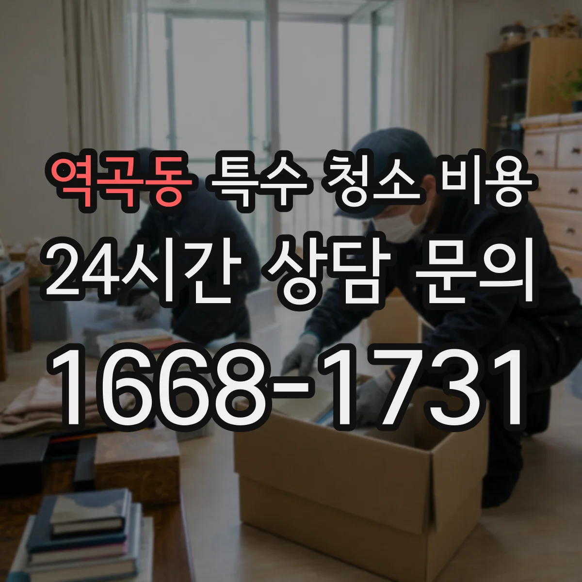 역곡동 특수 청소 비용
