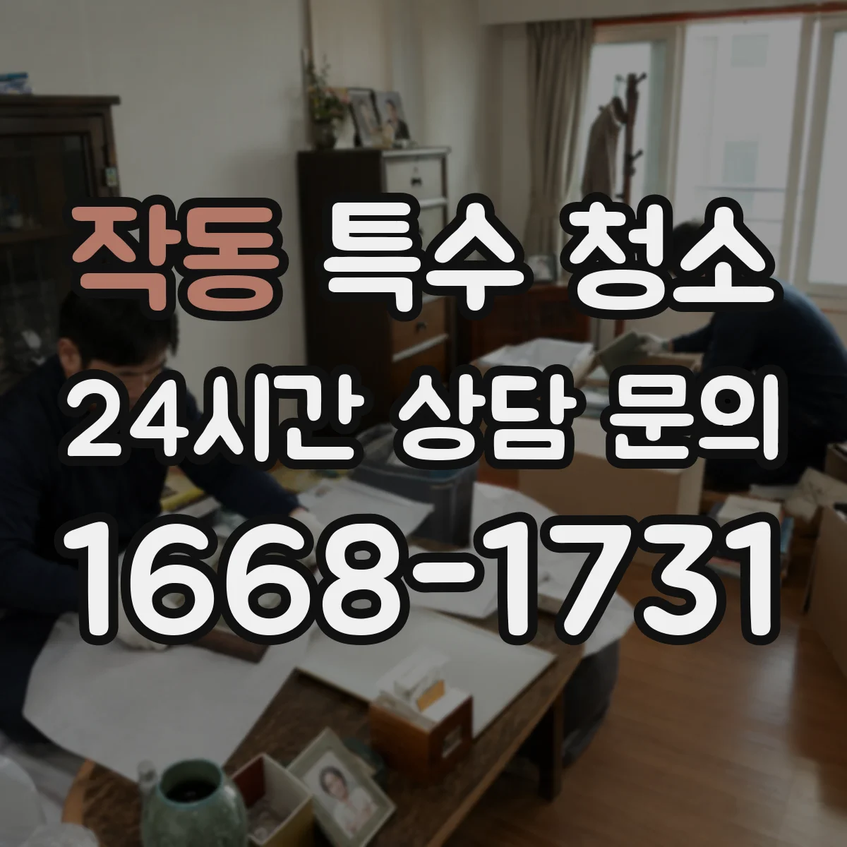 작동 특수 청소