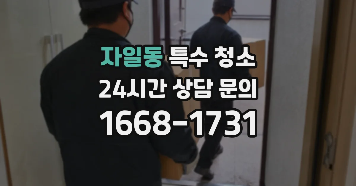 자일동 특수 청소