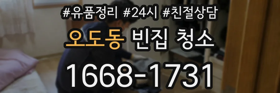 오도동 빈집 청소