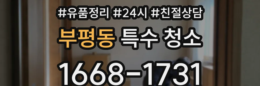 부평동 특수 청소