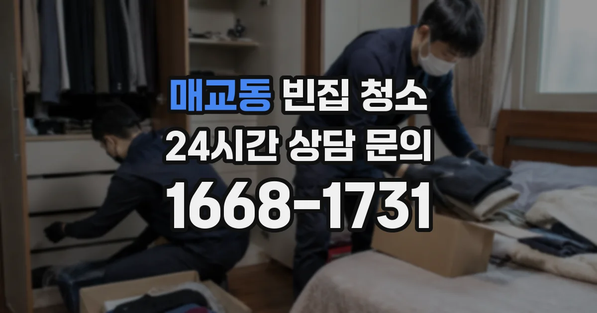 매교동 빈집 청소